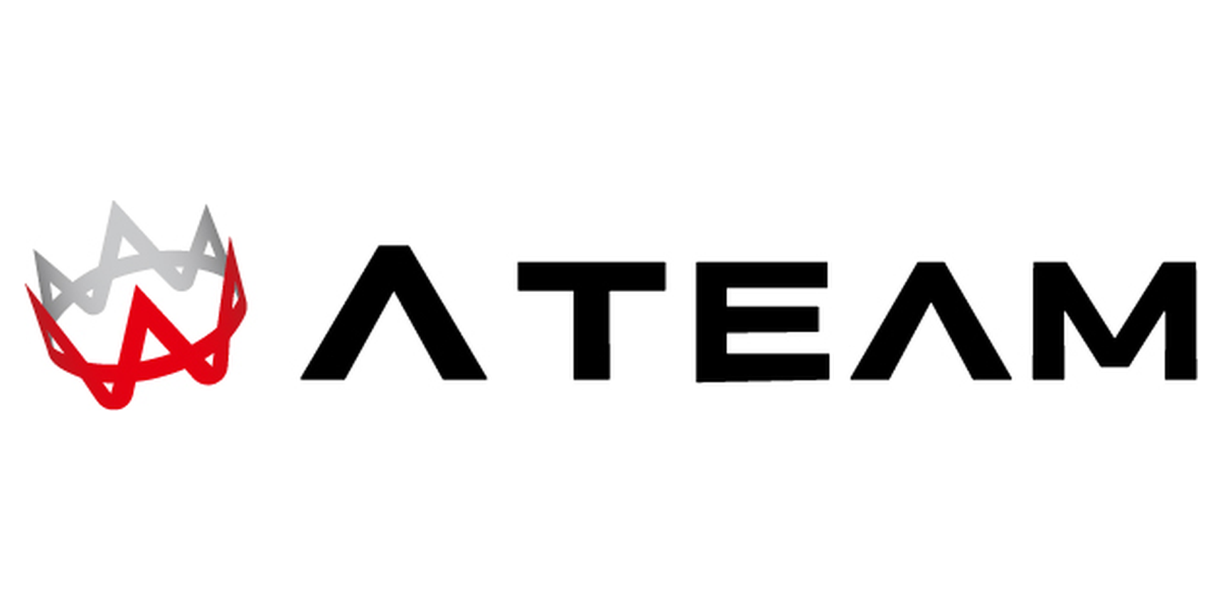 株式会社エイチームホールディングス